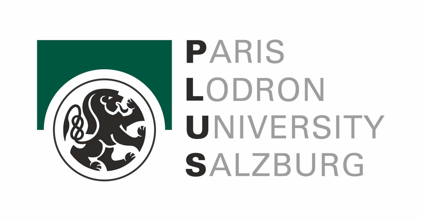 PLUS Logo